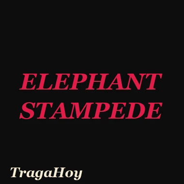 Elephant Stampede slot